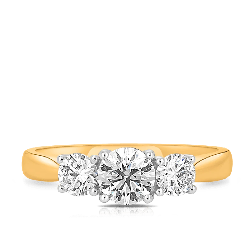 1.00ct TW Round Brilliant Cut Diamond Three Stone Engagement Ring in 18ct Yellow Gold